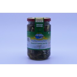 Alicetti di calabria sott'olio