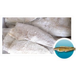 Filetti di MOLVA LING 400/700
